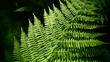 Similar image 21722768