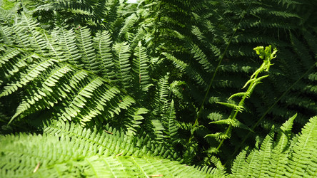 Similar image 21722770