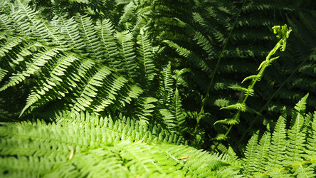 Similar image 21722771