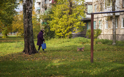 Similar image 21723249