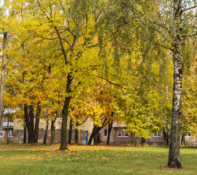 Similar image 21723251