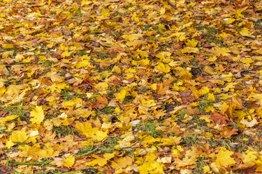 Similar image 21723256