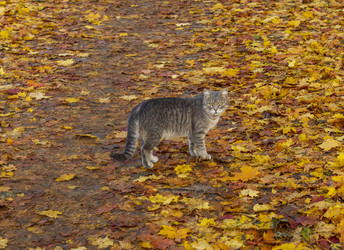 Similar image 21723258