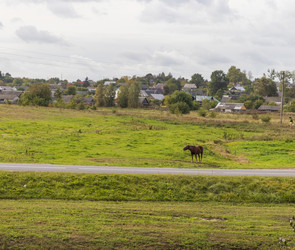 Similar image 21723260