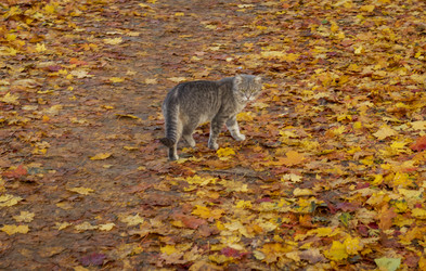 Similar image 21723267