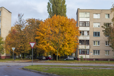 Similar image 21723269