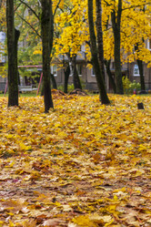 Similar image 21723271