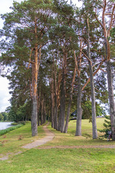 Similar image 21723272