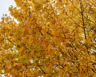 Similar image 21723273