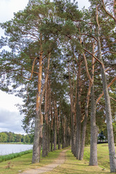 Similar image 21723274