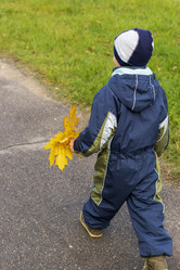 Similar image 21723275