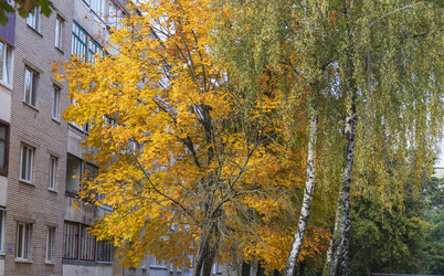 Similar image 21723279