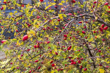 Similar image 21723280