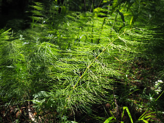 Similar image 21722785