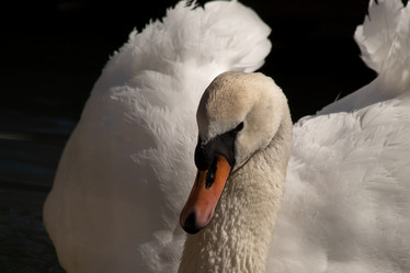 Similar image 21722790