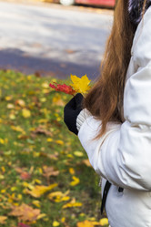 Similar image 21723508