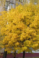 Similar image 21723521