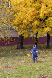 Similar image 21723523