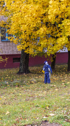 Similar image 21723524