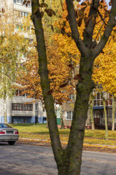 Similar image 21723526