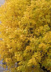 Similar image 21723703