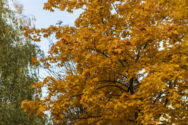 Similar image 21746941