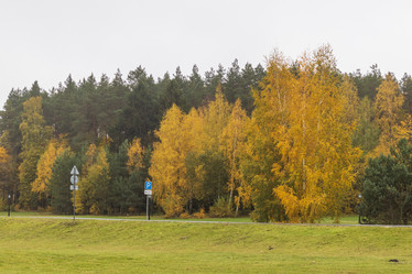 Similar image 21746944