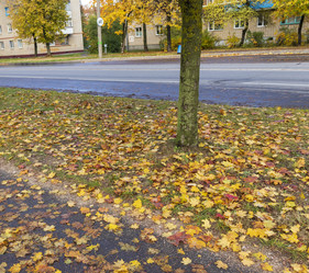 Similar image 21746947