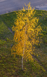 Similar image 21747511