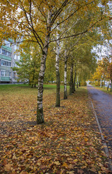 Similar image 21747736