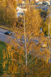 Similar image 21747737