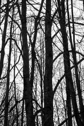 Similar image 21747739