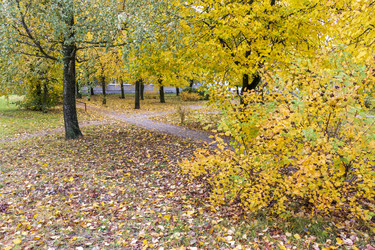 Similar image 21747740