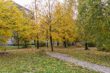 Similar image 21747742