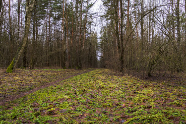 Similar image 21747745