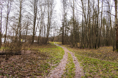 Similar image 21747747