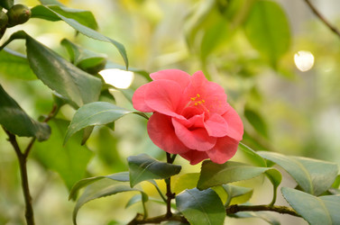 Similar image 21747130