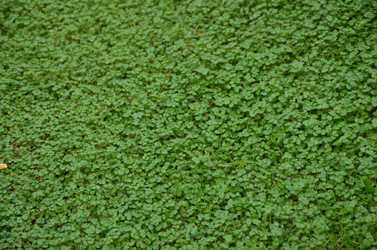 Similar image 21747133