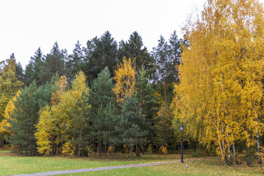 Similar image 21723281