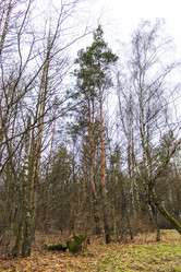 Similar image 21723286