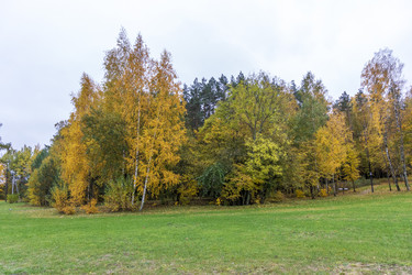 Similar image 21723287