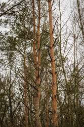 Similar image 21723288