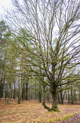 Similar image 21723292