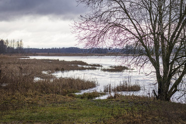 Similar image 21723306