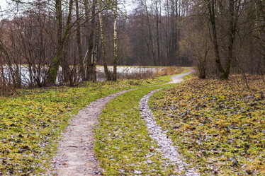 Similar image 21723313