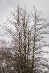 Similar image 21723326