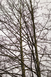 Similar image 21723528