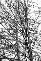 Similar image 21723722