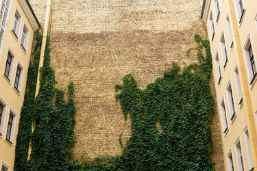 Similar image 21749781