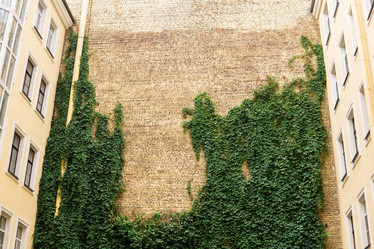 Similar image 21750021